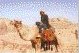 petra